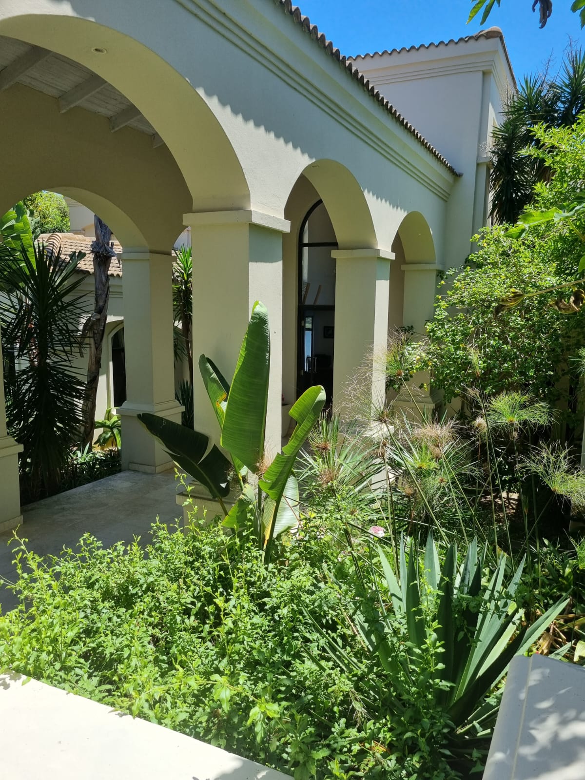 WhatsApp Image 2026-02-23 at 11.11.07 (1)