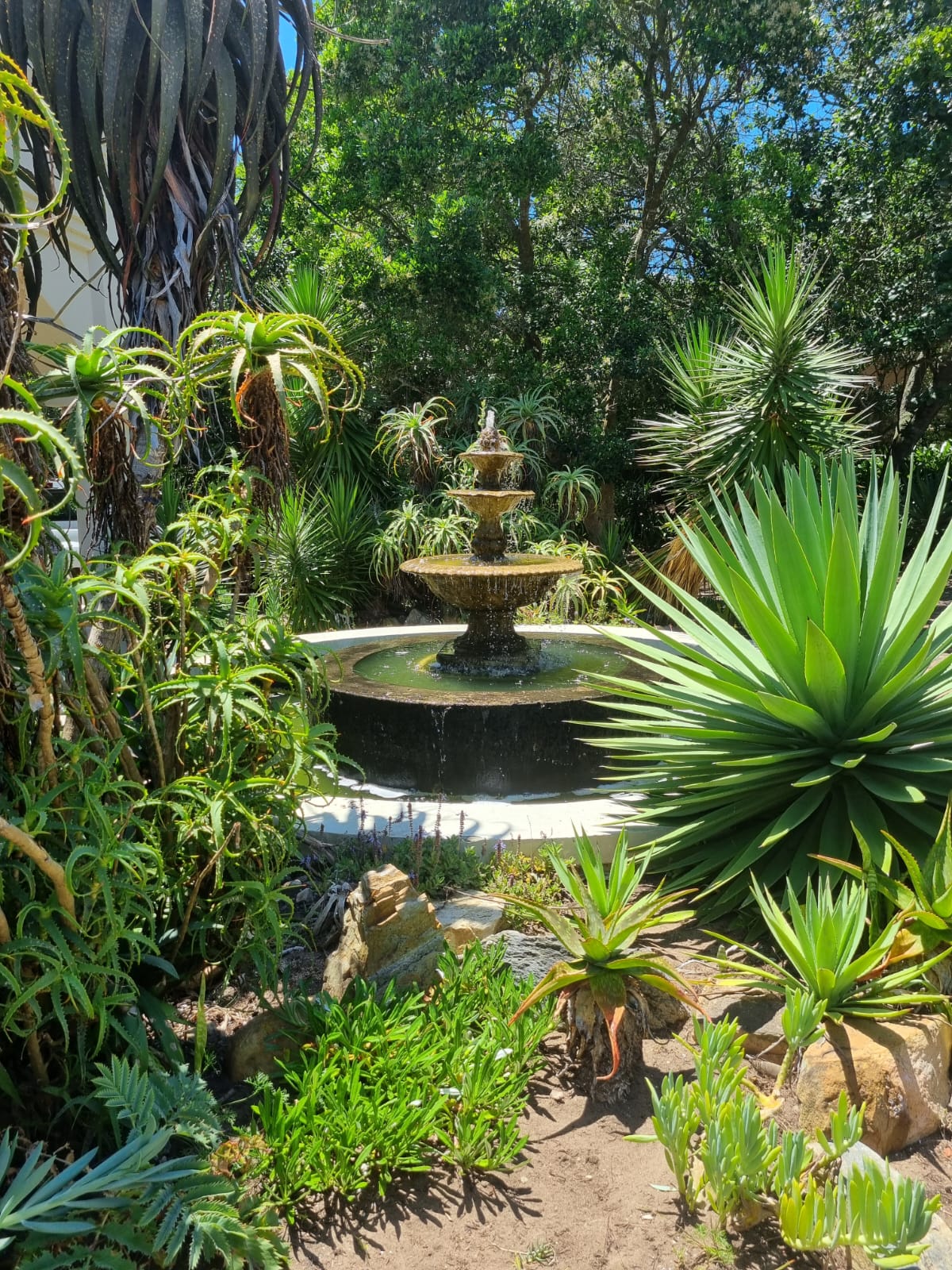 WhatsApp Image 2026-02-23 at 11.11.07