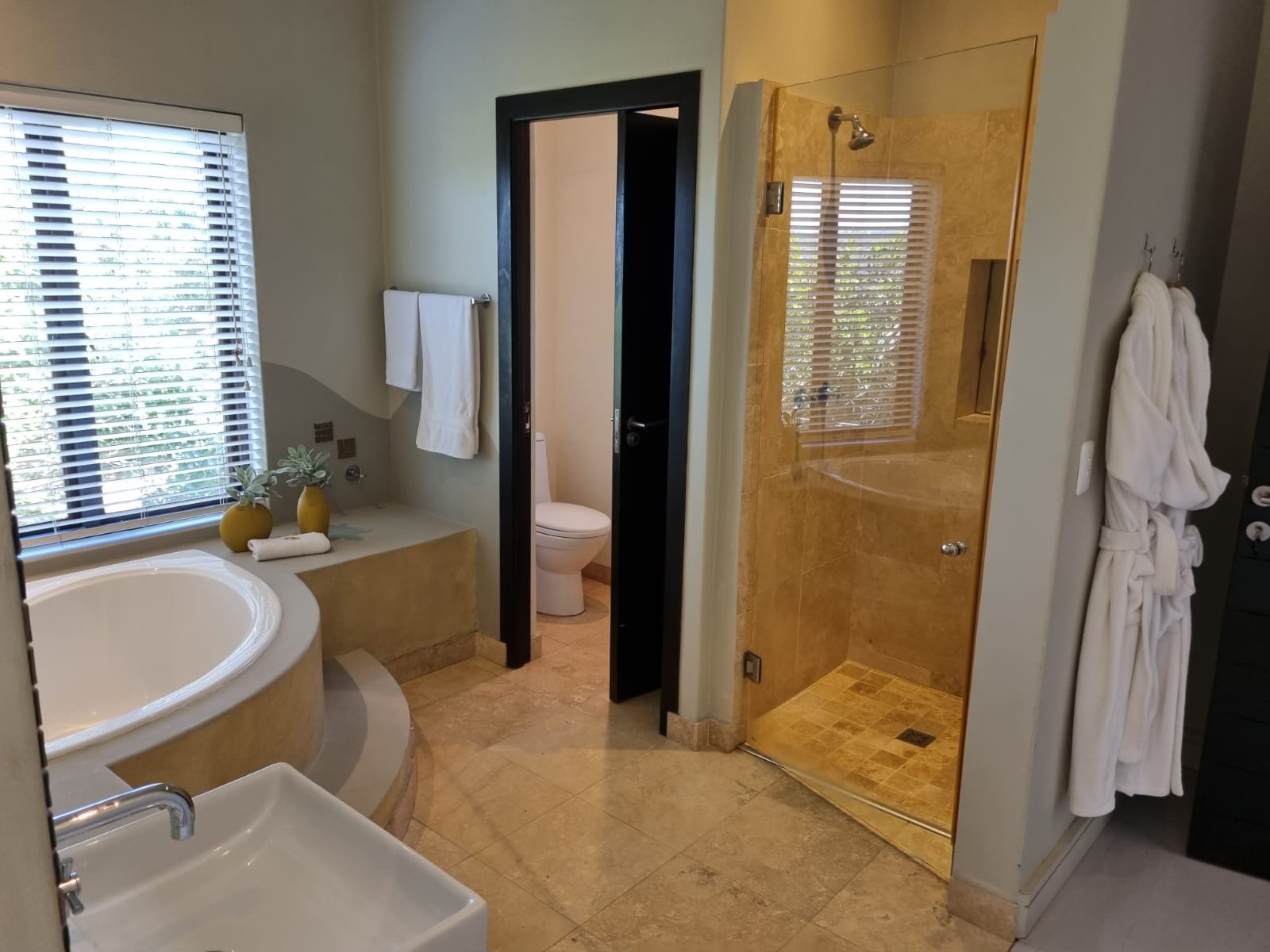 WhatsApp Image 2026-02-23 at 11.14.22 (1)